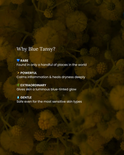 Blue Tansy Glow Serum