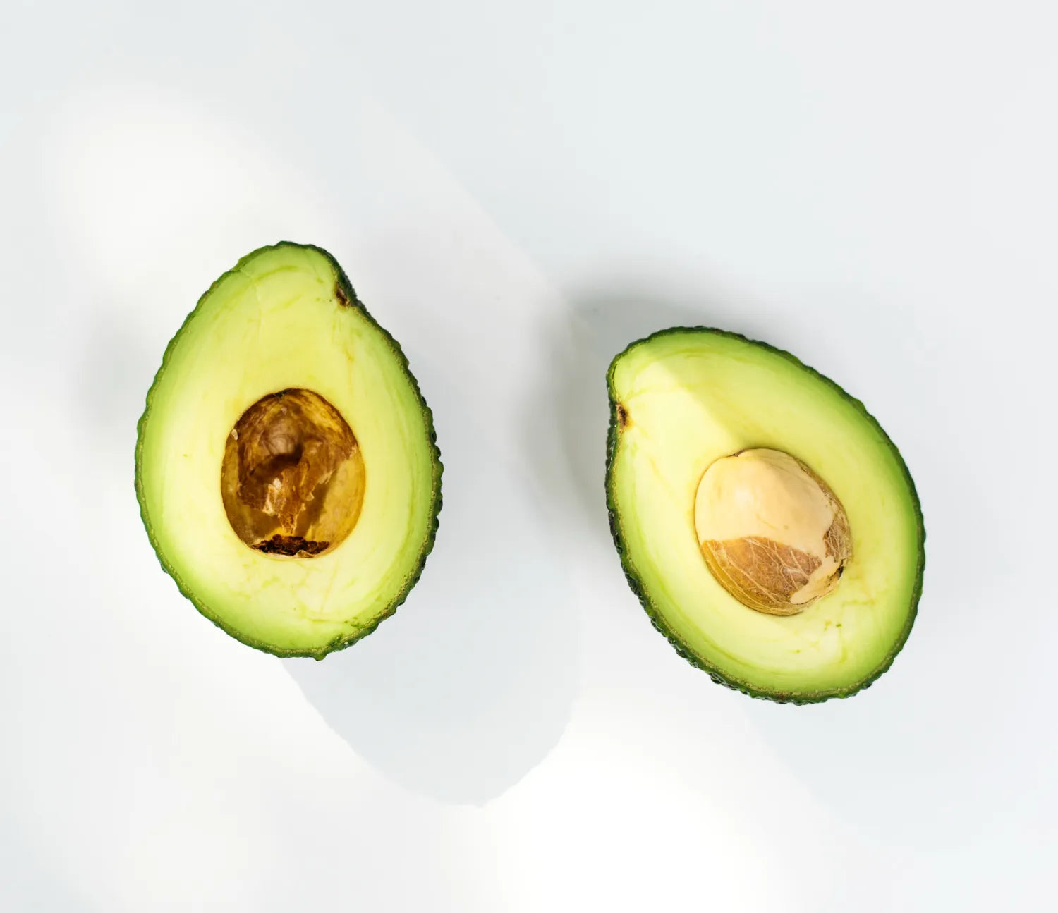 Avocado Extract