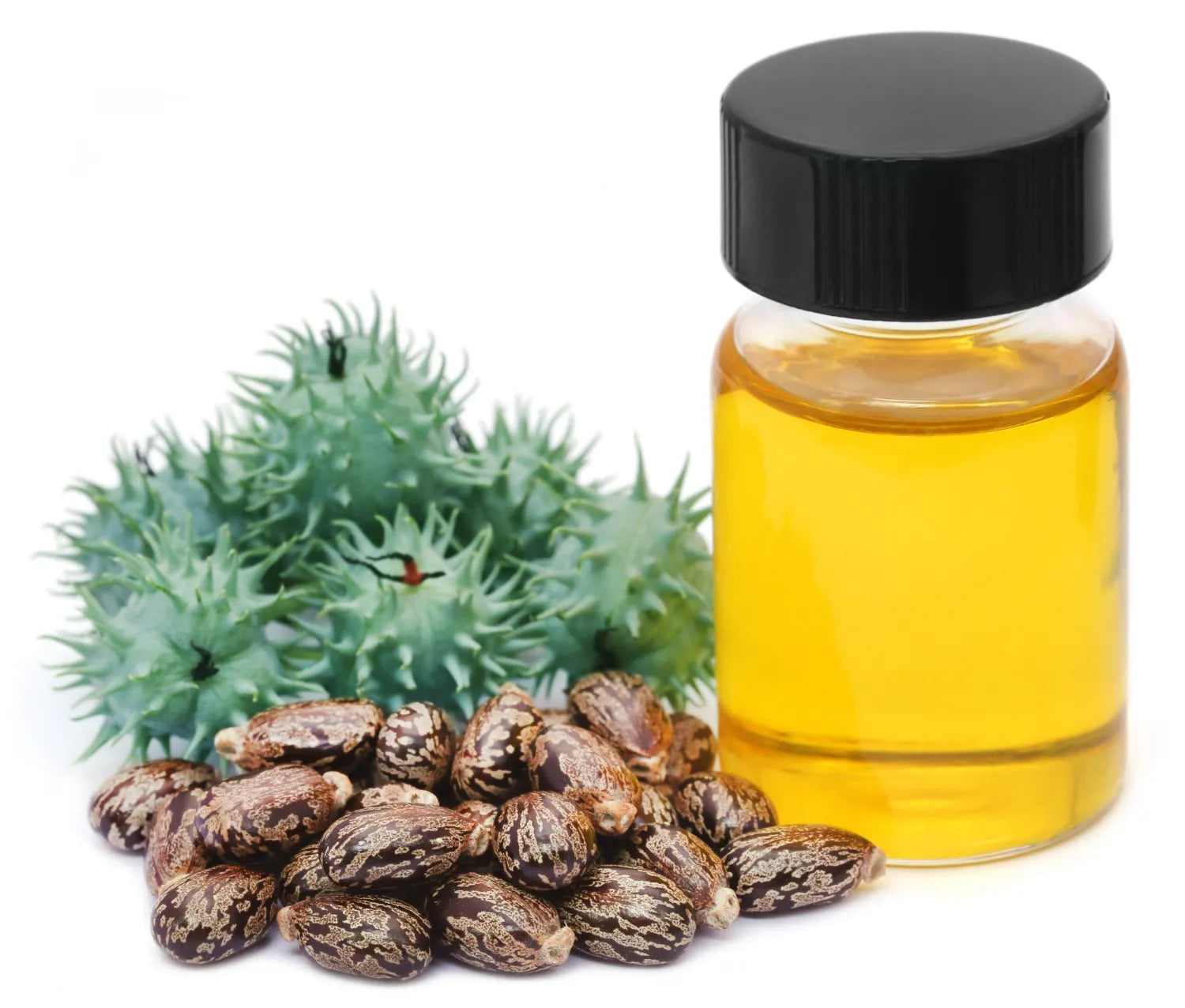 Castor Oil