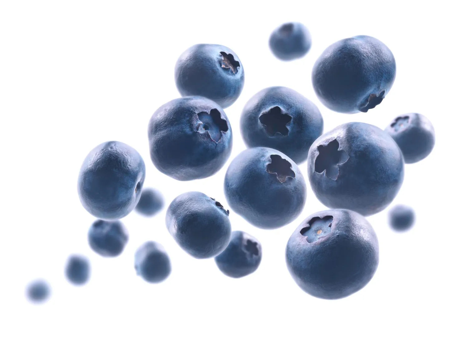 Blueberry Extract